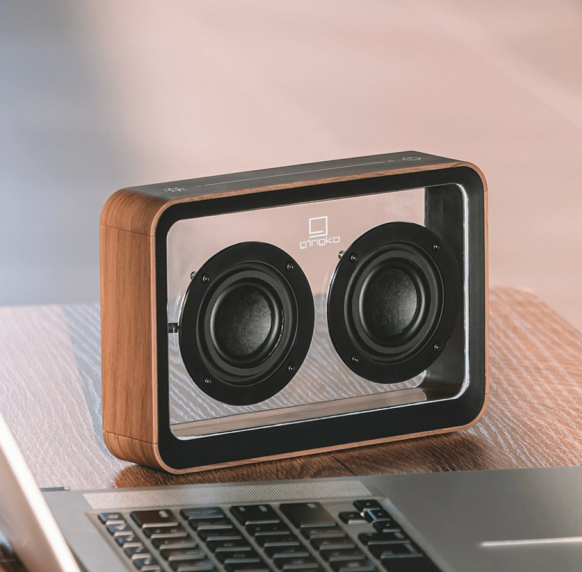 Mage See Through Speaker - Walnut – Princeton University Art Museum Store